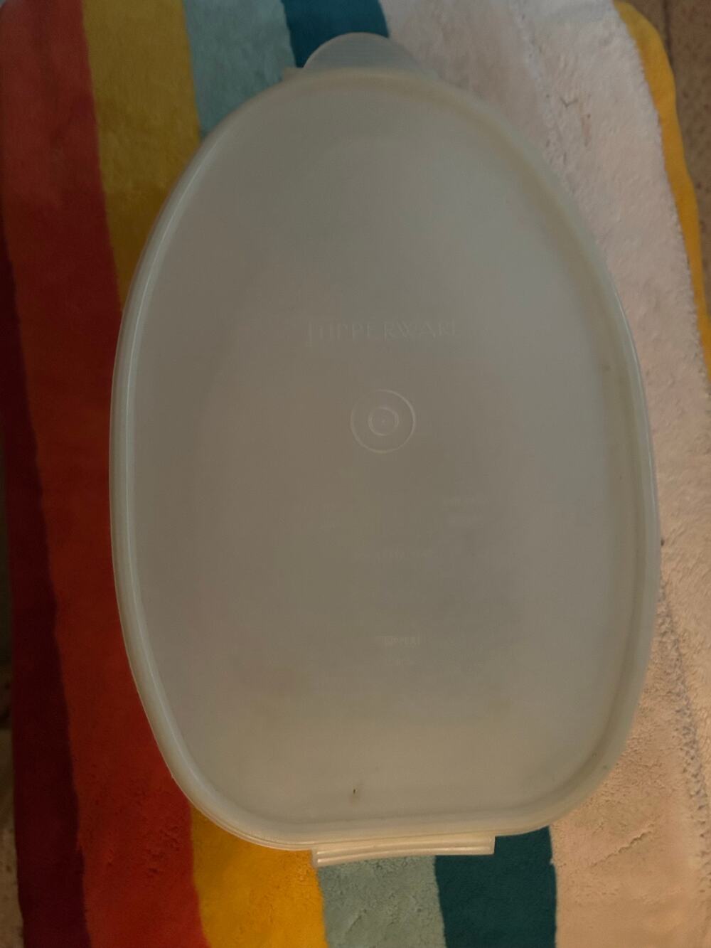 VTG Tupperware Ham Storage Container